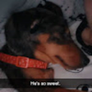 Meet your Posher, Alexia